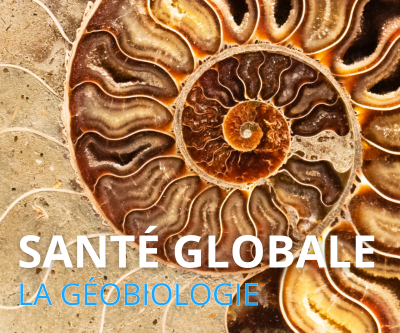 geobiologie